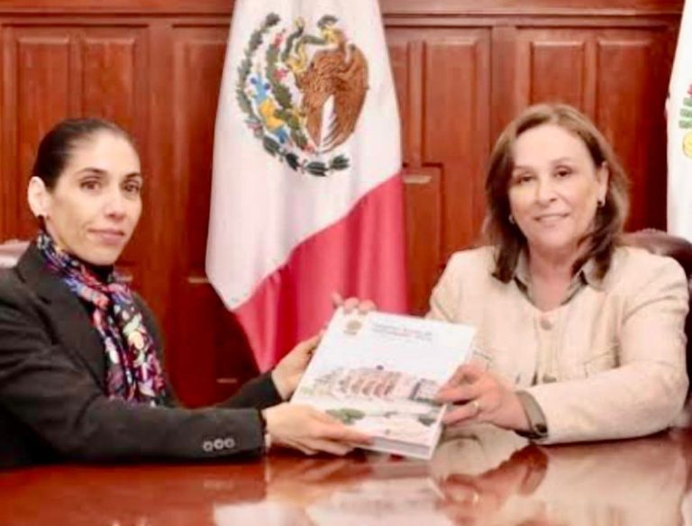 ROCÍO NAHLE, LA PERITO QUE NO FUE