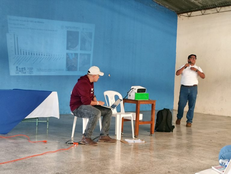REFUERZAN VIGILANCIA SANITARIA ANTE PRESENCIA DEL GUSANO BARRENADOR