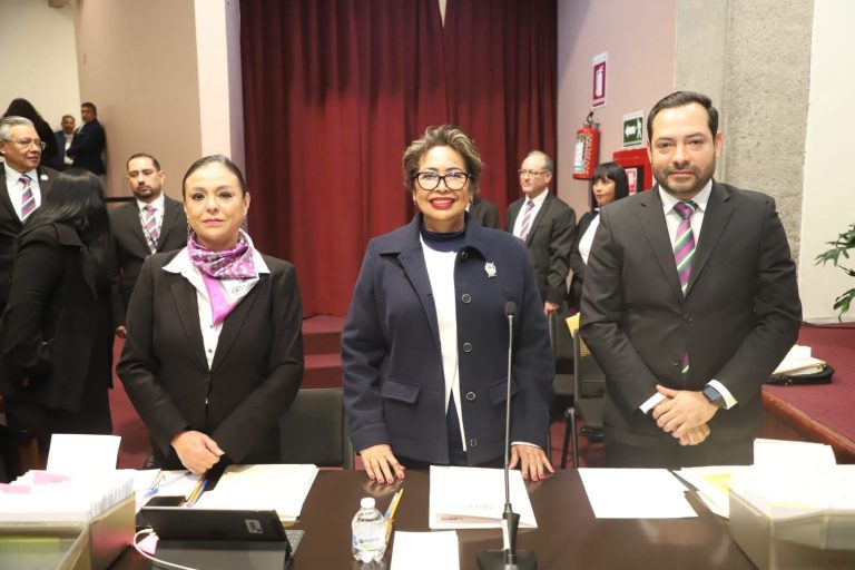 PESE A CAPACITACIÓN, AUTORIDADES SALIENTES SE LLEVARON TODO, LAMENTA AUDITORA DEL ORFIS